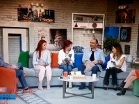 Felisa Outstanding Cats PRO-TV