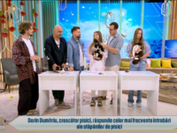 Cum să adaptăm un pui de pisică în noua sa casă!